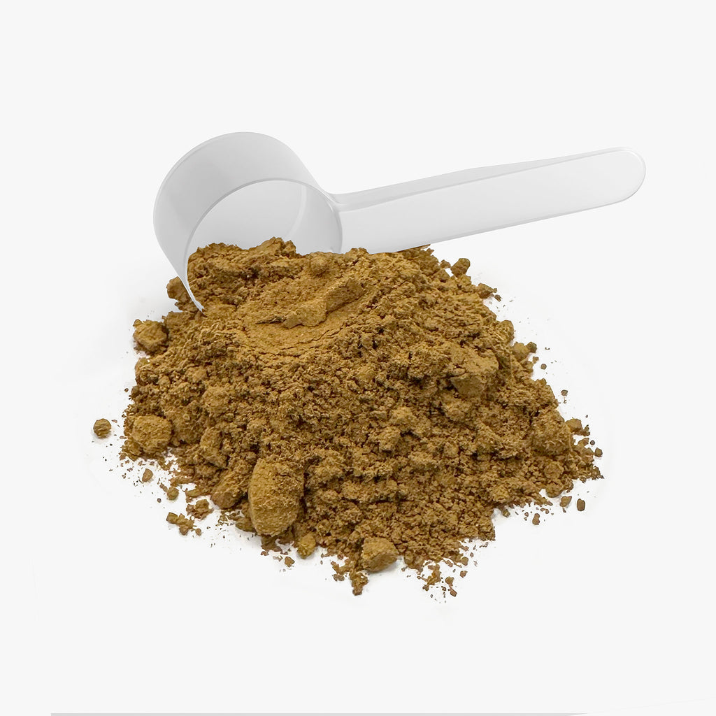 Beau Wellness Mushroom Fuse Instant Coffee with Lion's Mane and Chaga – medium roast single origin Papua New Guinea blend for focus, clean energy and calm – vegan, halal on a white background